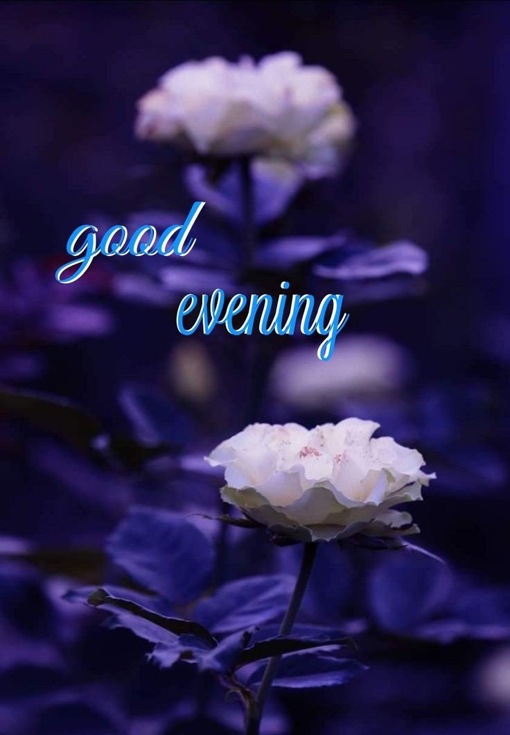 awesome-good-evening-images awesome-good-evening-images