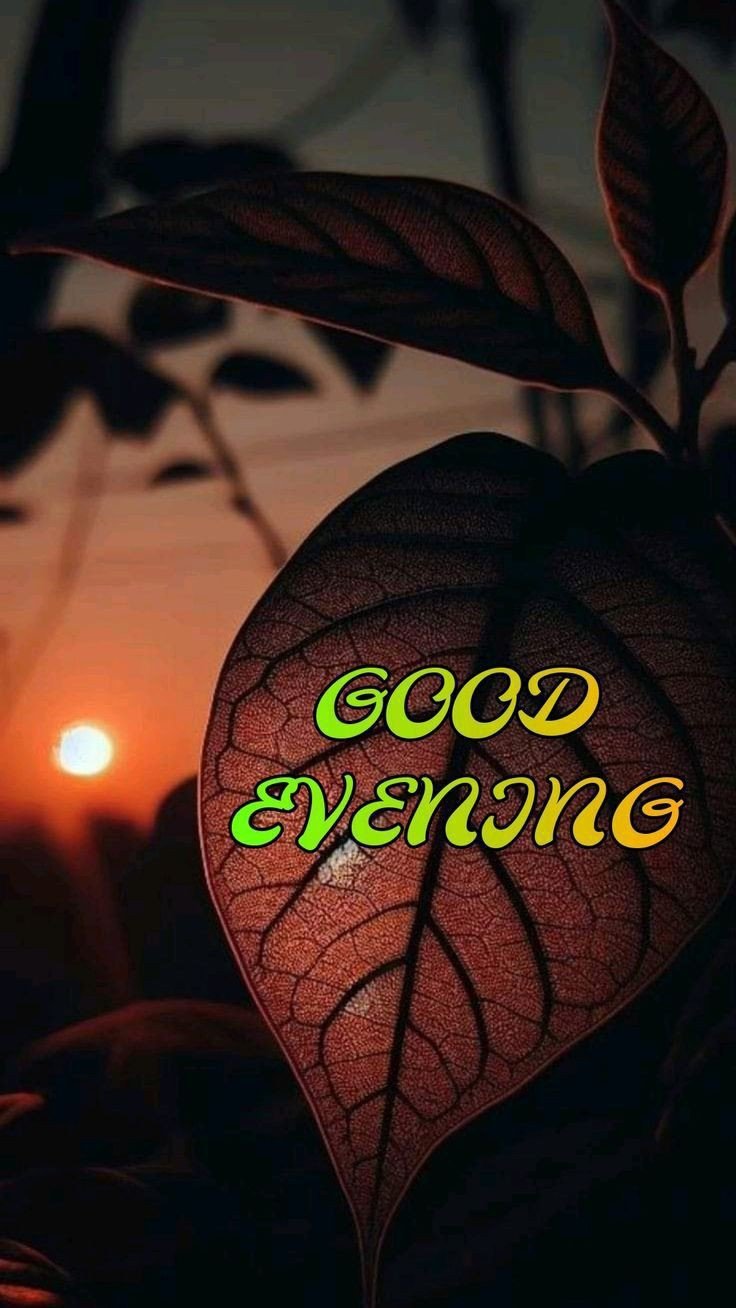 beautiful-good-evening-images-for-whatsapp beautiful-good-evening-images-for-whatsapp