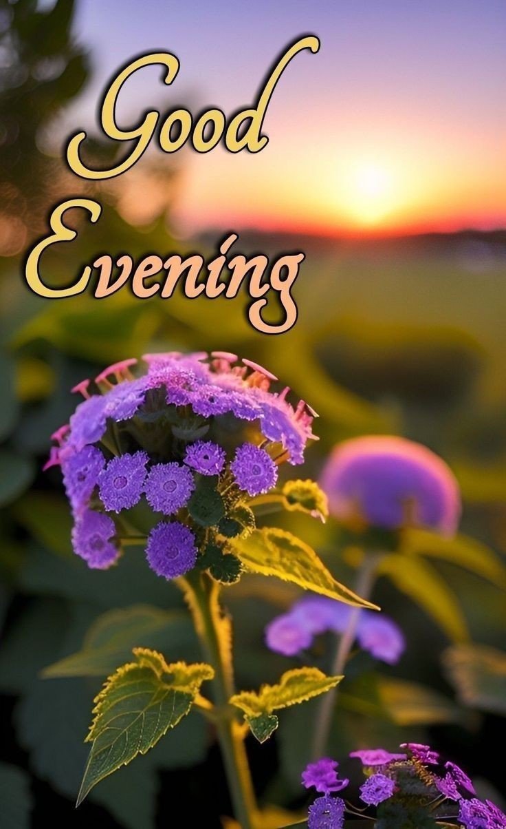beautiful-good-evening-images-with-quotes beautiful-good-evening-images-with-quotes