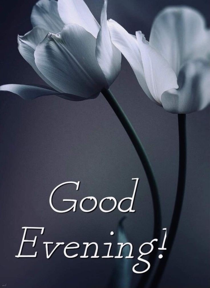 bengali-good-evening-images bengali-good-evening-images