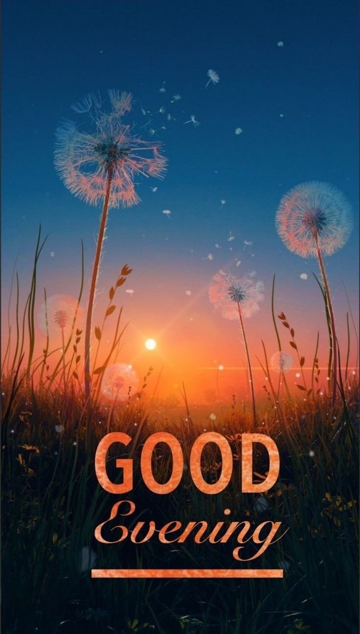 good-evening-dear-images good-evening-dear-images
