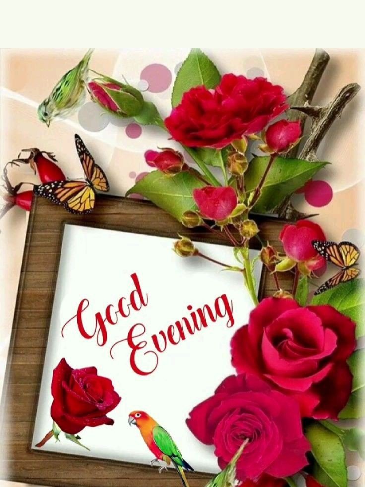 good-evening-images-and-quotes-free good-evening-images-and-quotes-free