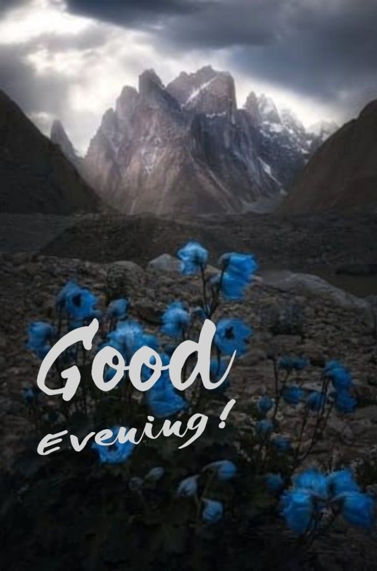 good-evening-images-beautiful-free good-evening-images-beautiful-free