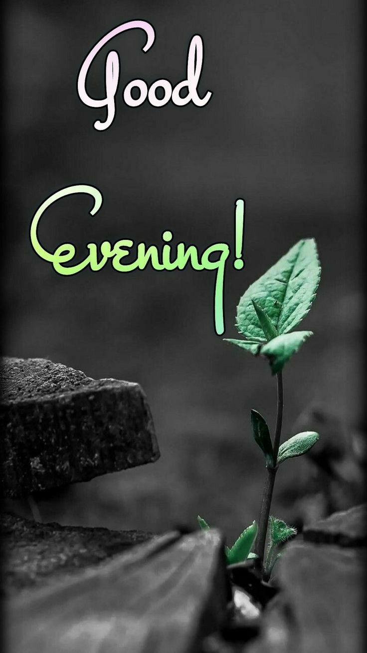 good-evening-images-beautiful good-evening-images-beautiful