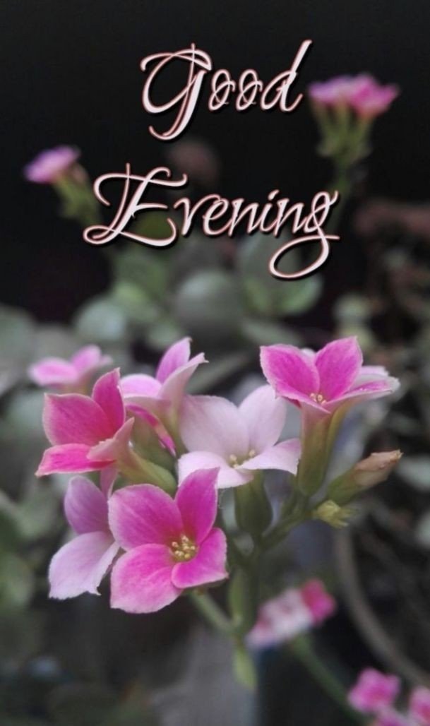 good-evening-images-bengali-love good-evening-images-bengali-love