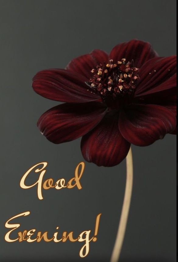 good-evening-images-chai good-evening-images-chai