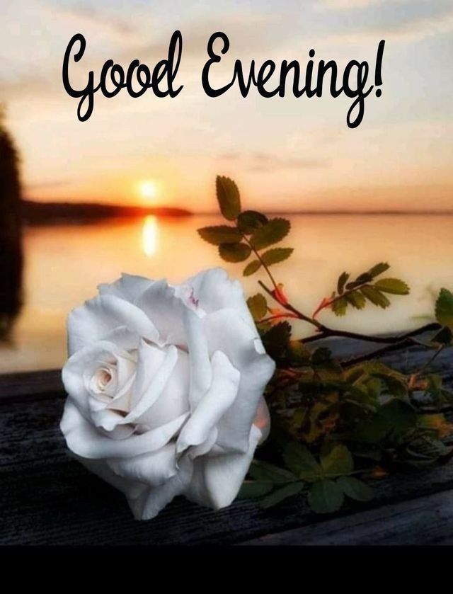 good-evening-images-coffee good-evening-images-coffee