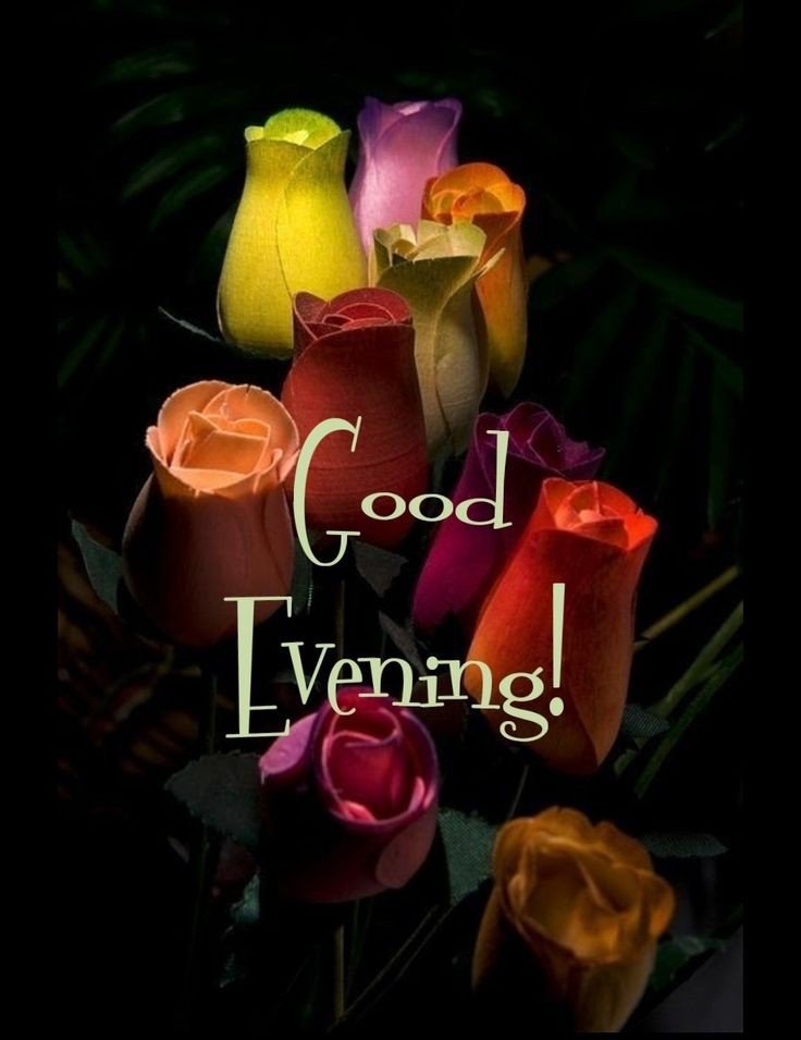 good-evening-images-cute good-evening-images-cute
