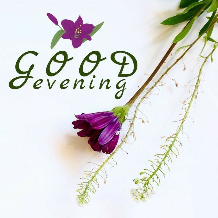 good-evening-images-new-download good-evening-images-new-download