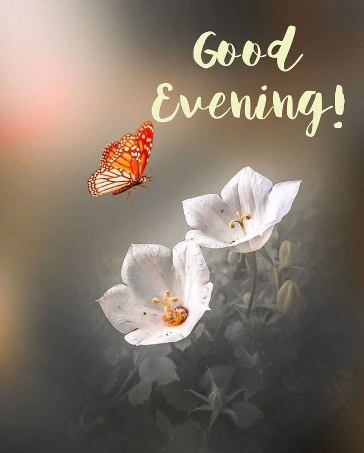 good-morning-images-download good-morning-images-download