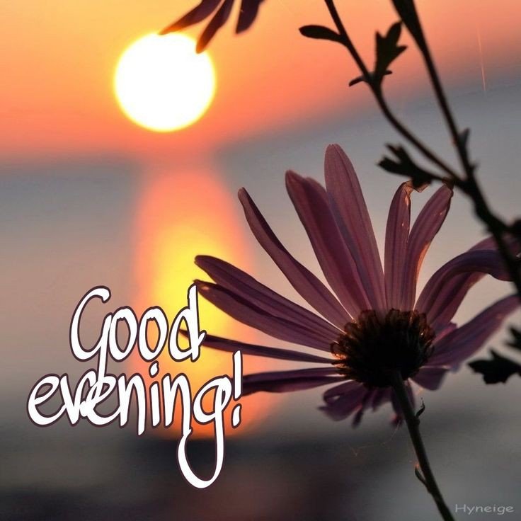 good-morning-images-download-for-whatsapp good-morning-images-download-for-whatsapp