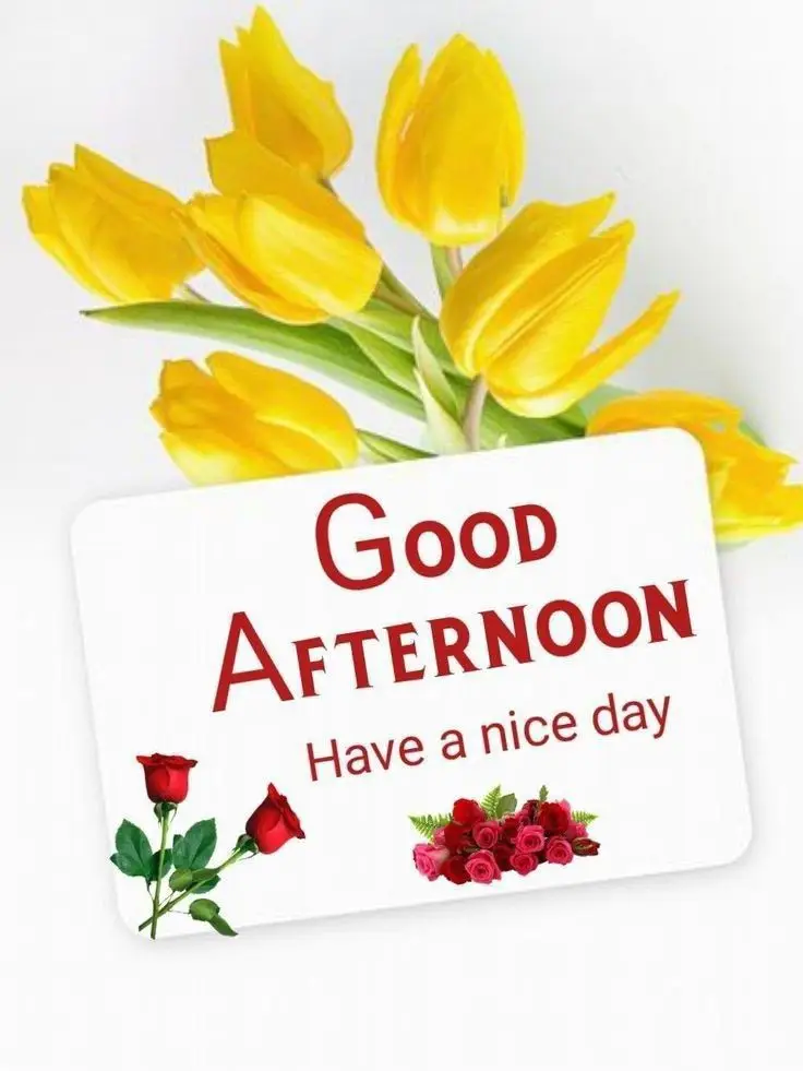 a-good-afternoon a-good-afternoon