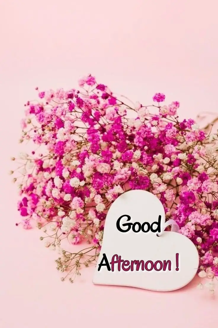 a-good-afternoon-picture a-good-afternoon-picture