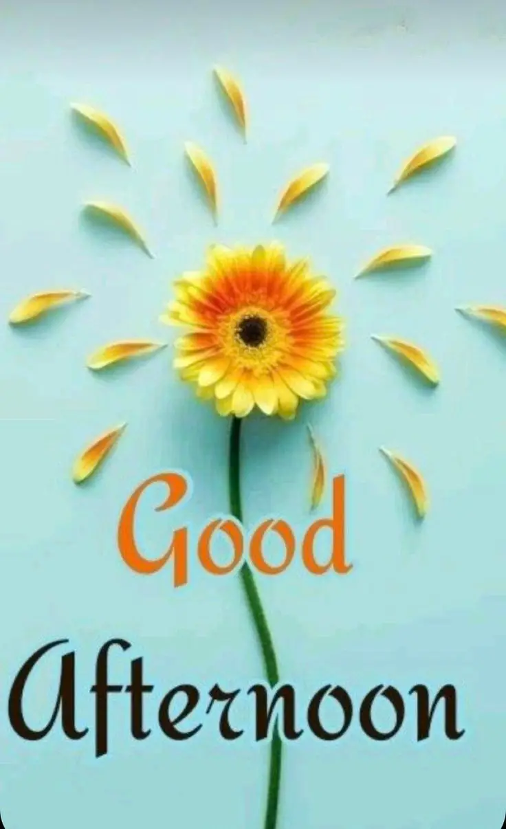 african-american-good-afternoon-images african-american-good-afternoon-images