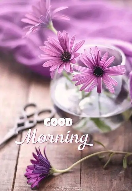 african-american-good-morning-images