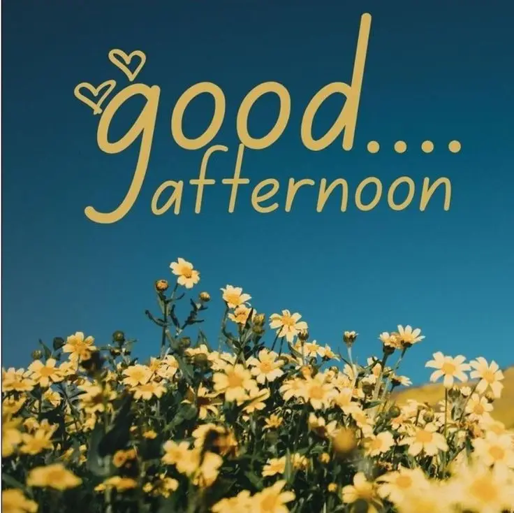 afternoon-messages-good-afternoon-images afternoon-messages-good-afternoon-images