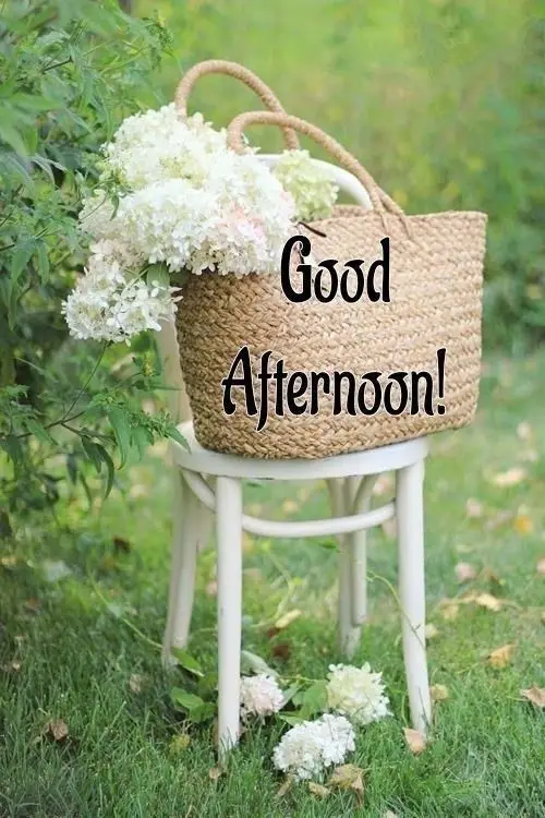 amazing-good-afternoon-images amazing-good-afternoon-images