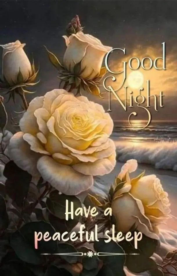 army-good-night-photo