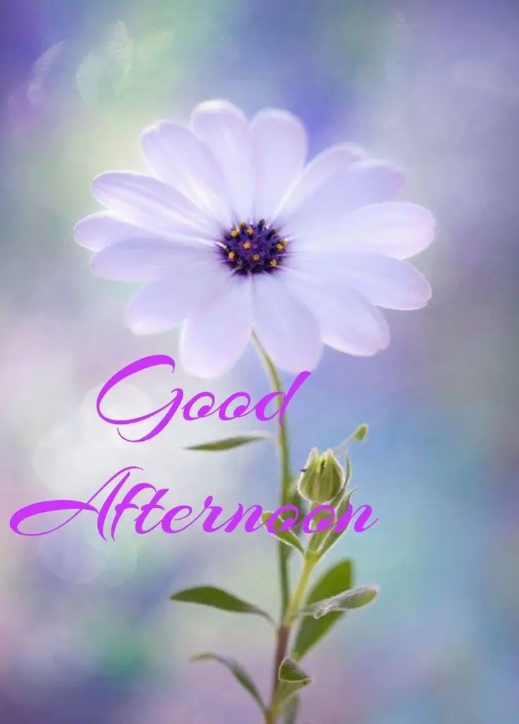 beautiful-afternoon-images beautiful-afternoon-images