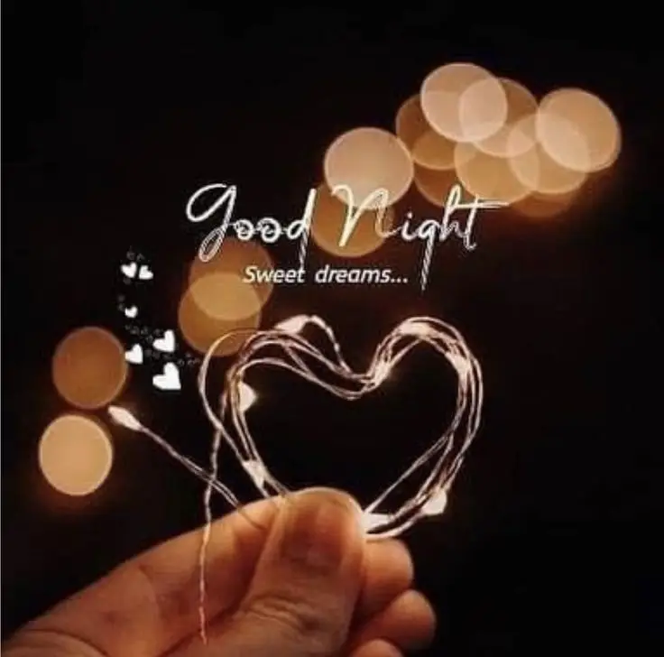 beautiful-good-night-images-bengali