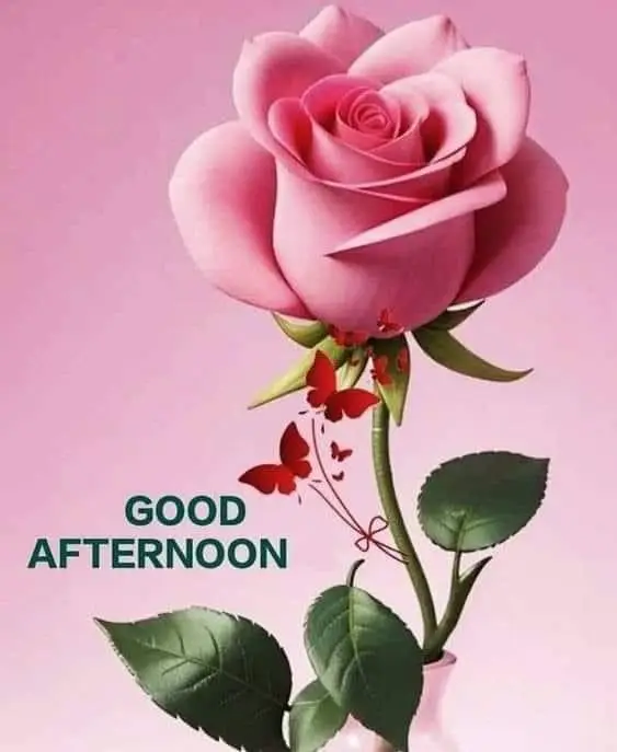 best-good-afternoon-images best-good-afternoon-images