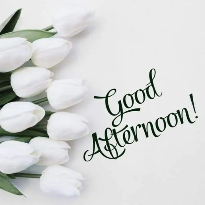 blessed-good-afternoon-images blessed-good-afternoon-images