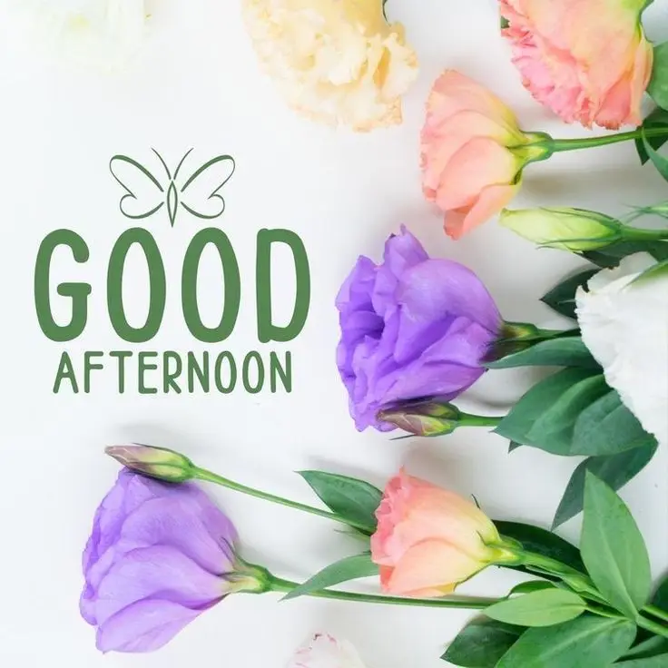free-good-afternoon-images free-good-afternoon-images