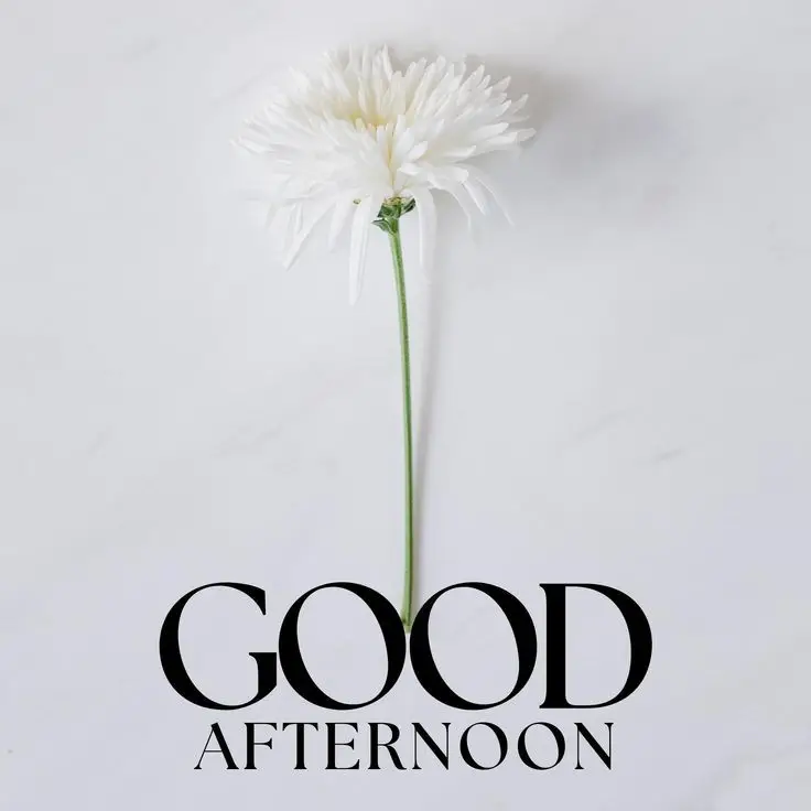 good-afternoon-images-african-american good-afternoon-images-african-american