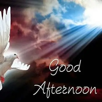 good-afternoon-images-autumn good-afternoon-images-autumn