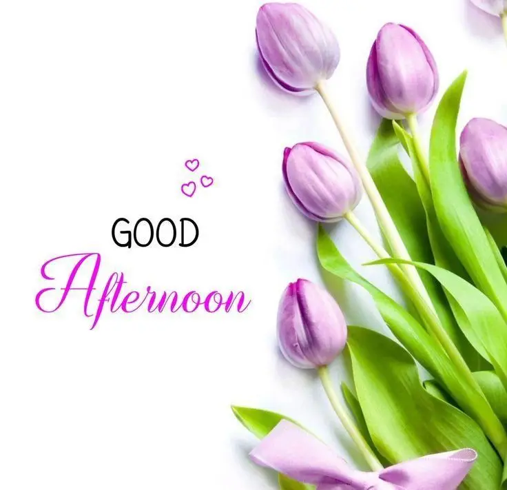 good-afternoon-pic-hd good-afternoon-pic-hd