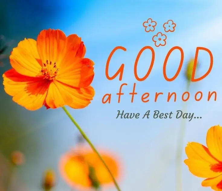 good-afternoon-picmix good-afternoon-picmix