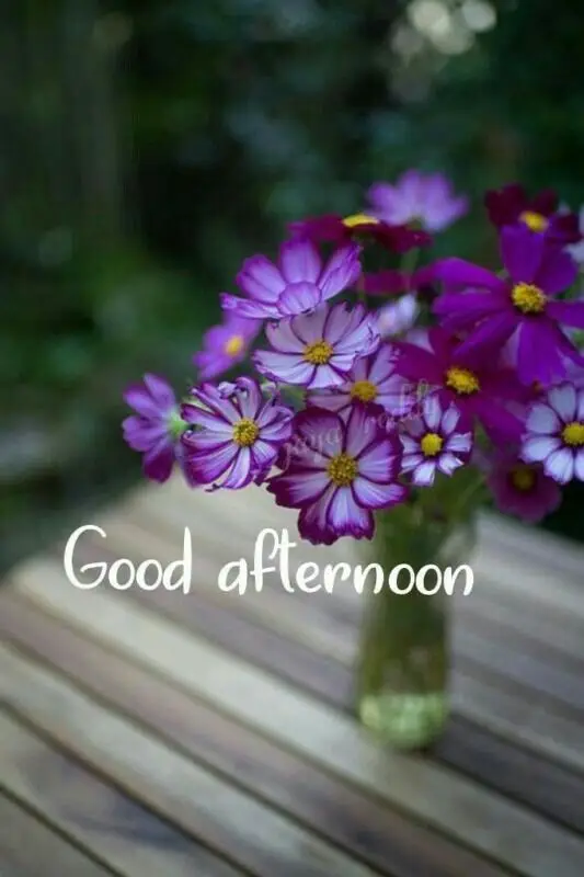 good-afternoon-pictures good-afternoon-pictures