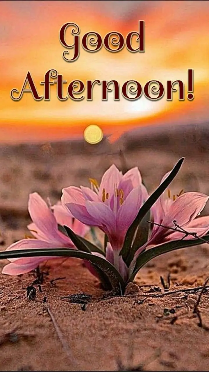 good-afternoon-pictures-and-quotes good-afternoon-pictures-and-quotes