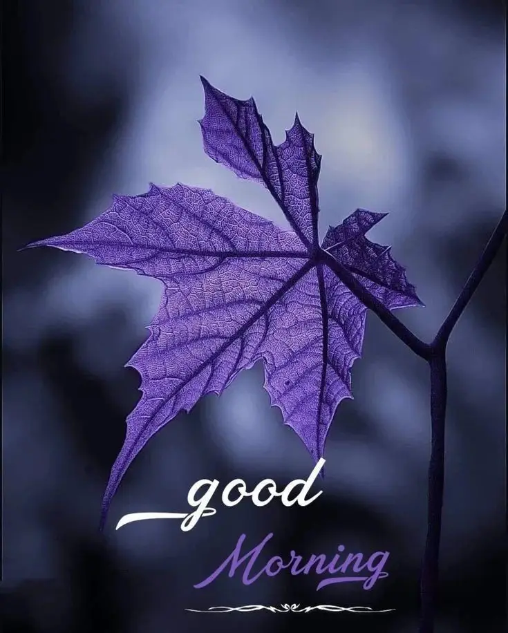 good-morning-images-cute-gif