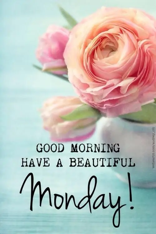 good-morning-picture-quotes