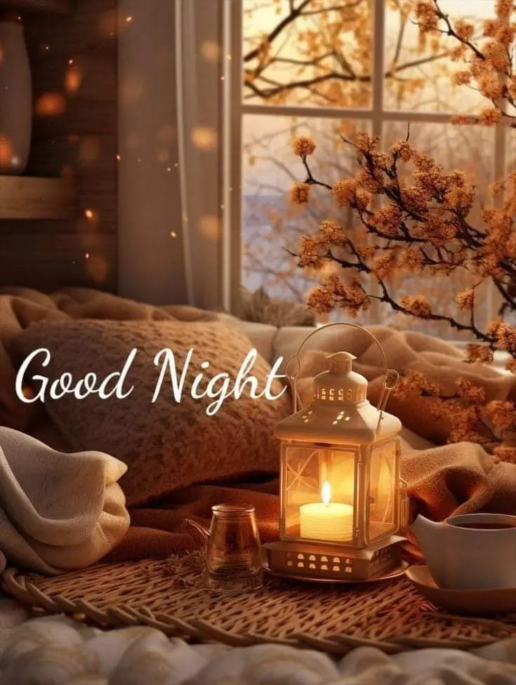 good-night-images-cats