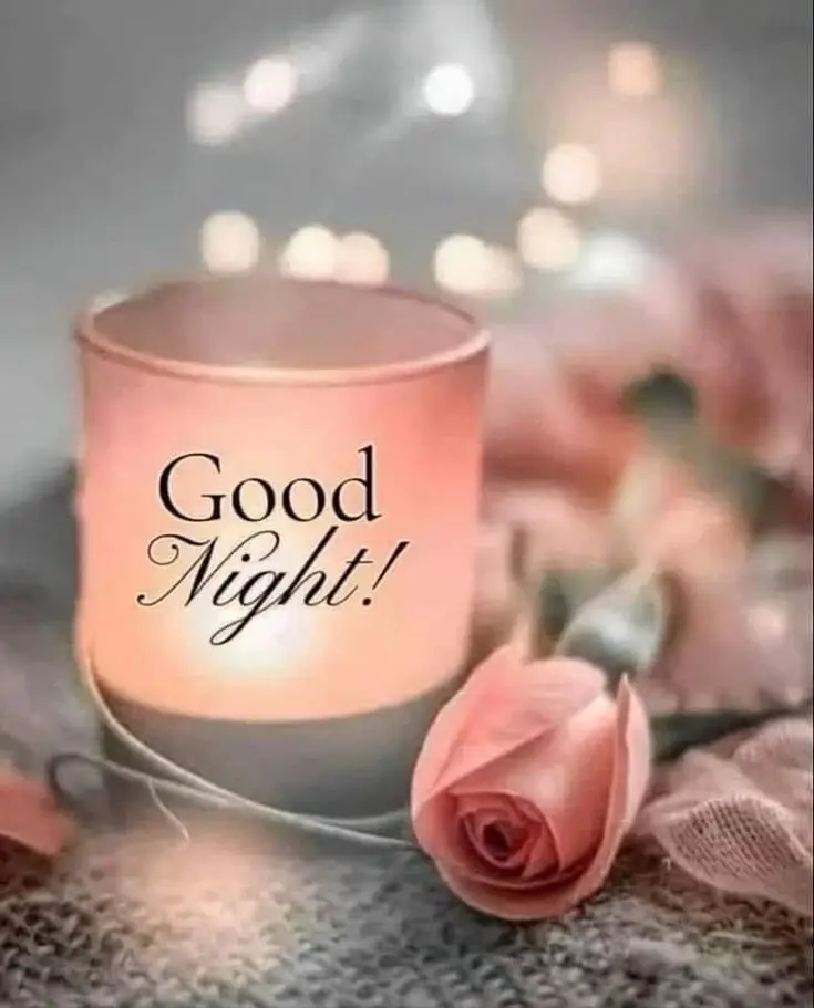 good-night-images-cats