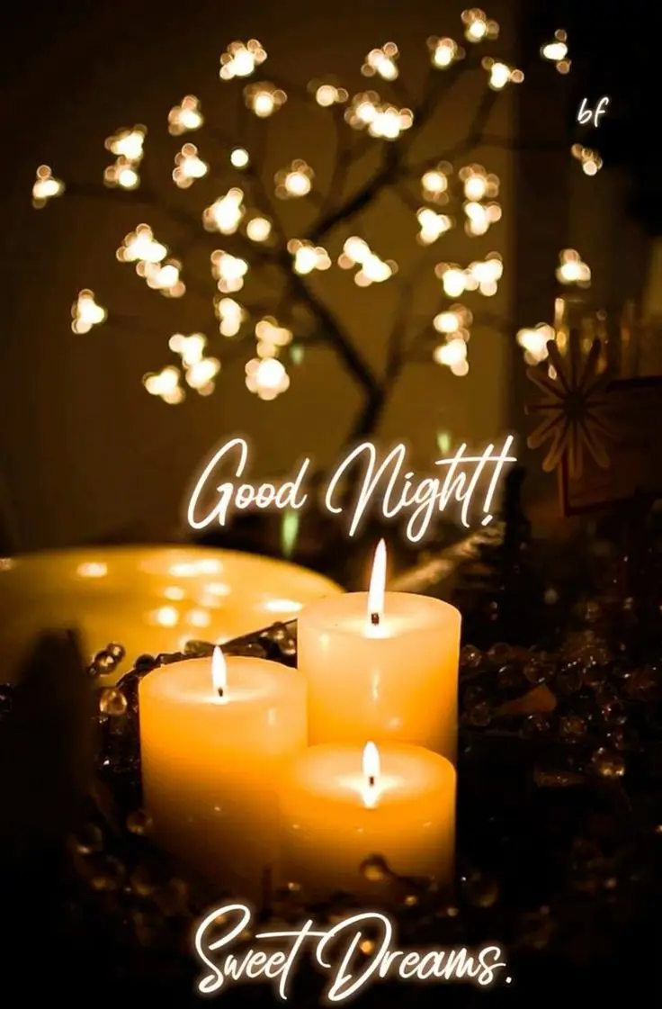 good-night-images-cute-animals