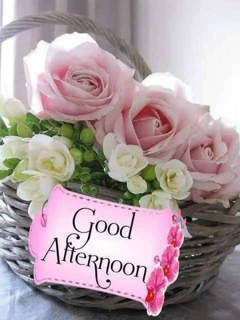 good-night-shayari-pic good-night-shayari-pic