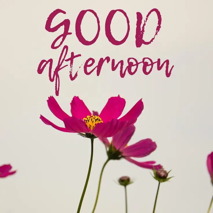 happy-sunday-good-afternoon-pic happy-sunday-good-afternoon-pic
