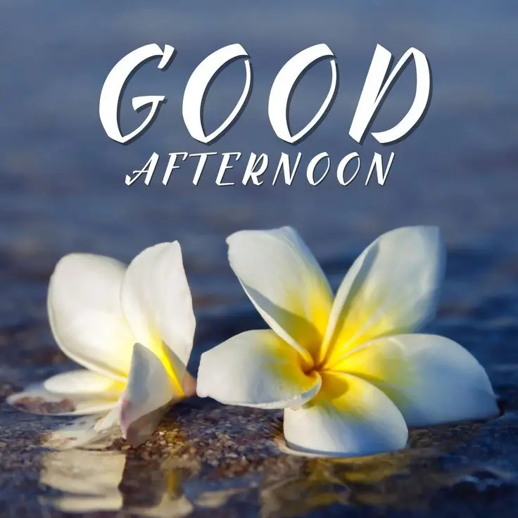 romantic-good-afternoon-photo romantic-good-afternoon-photo