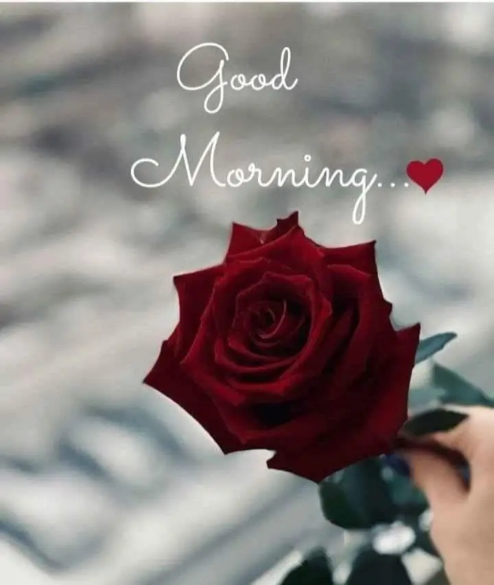 today-special-good-morning-images-god-quotes