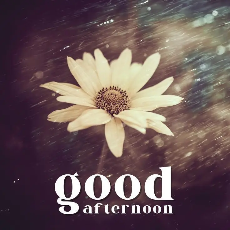tuesday-good-afternoon-images tuesday-good-afternoon-images